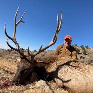 A smiling hunter wearing an orange hat posing proudly with his bull elk